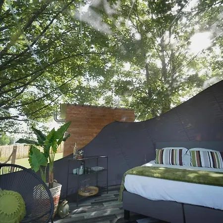 Bulles Odette & Ginette Et Tiny House Suzette 