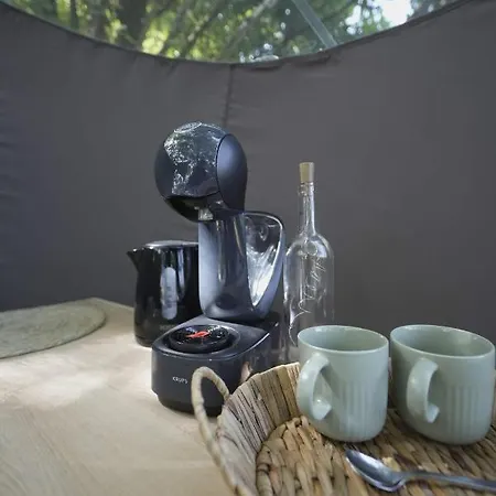 Bulles Odette & Ginette Et Tiny House Suzette 