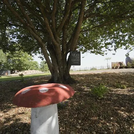 Bulles Odette & Ginette Et Tiny House Suzette 