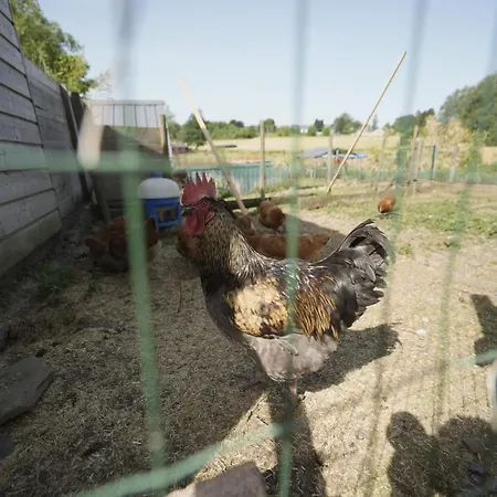 Bulles Odette & Ginette Et Tiny House Suzette 