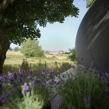 Bulles Odette & Ginette Et Tiny House Suzette 