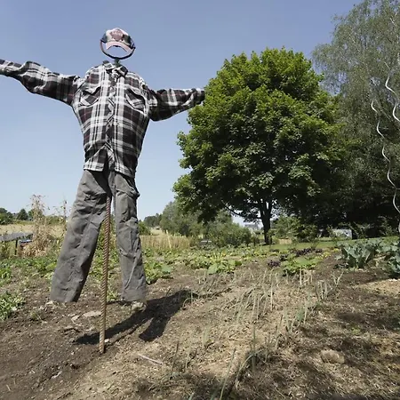 Bulles Odette & Ginette Et Tiny House Suzette 