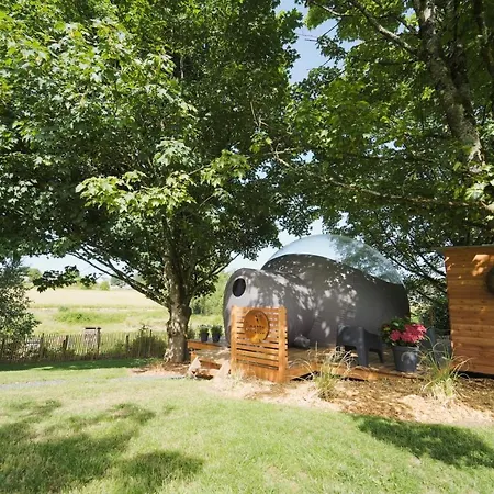 Bulles Odette & Ginette Et Tiny House Suzette 