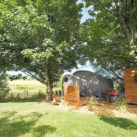 Bulles Odette & Ginette Et Tiny House Suzette 