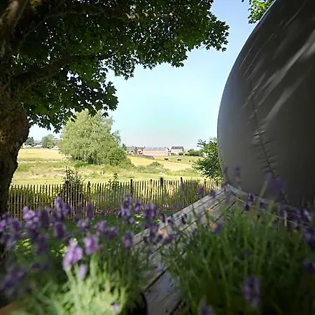 Jaktstuga Bulles Odette & Ginette Et Tiny House Suzette 