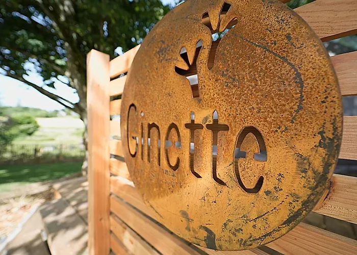 Bulles Odette & Ginette Et Tiny House Suzette 