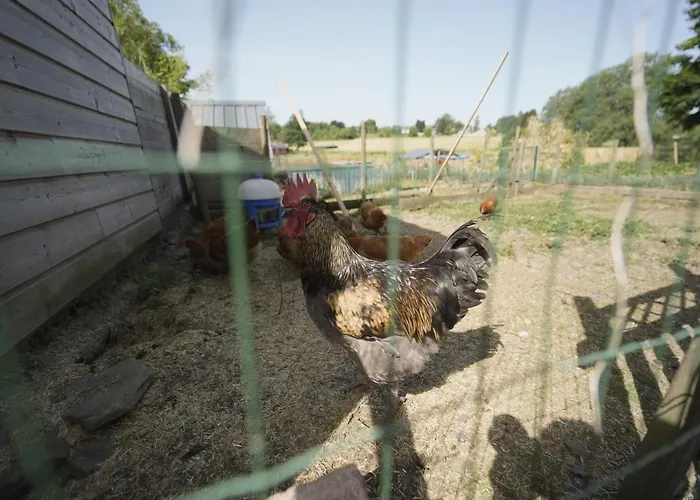 Bulles Odette & Ginette Et Tiny House Suzette 