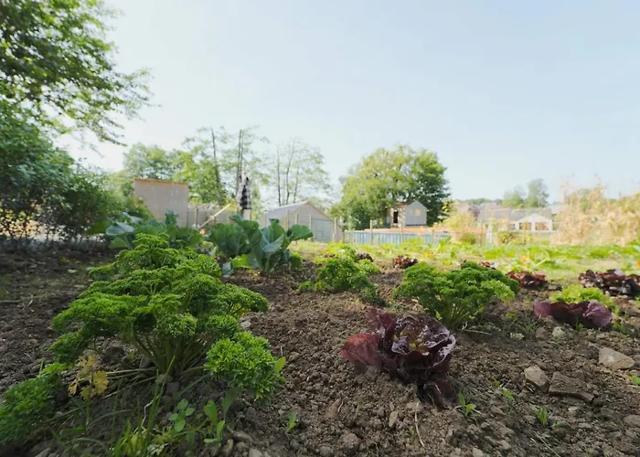 אכסניה Bulles Odette & Ginette Et Tiny House Suzette 