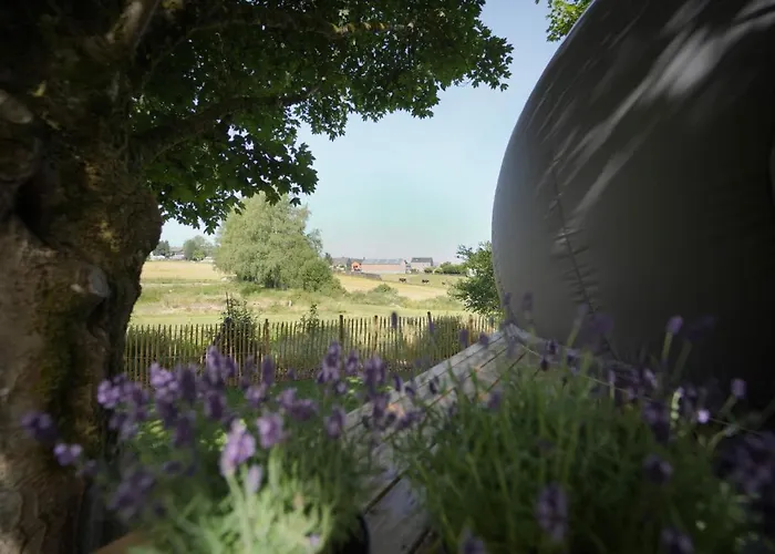 Bulles Odette & Ginette Et Tiny House Suzette 