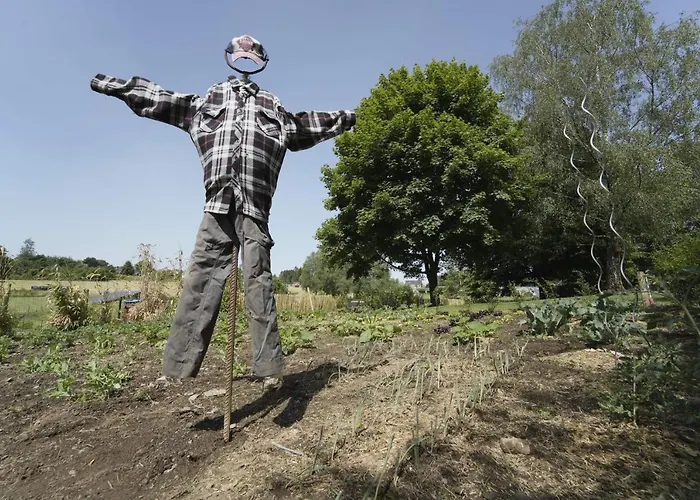 Bulles Odette & Ginette Et Tiny House Suzette 