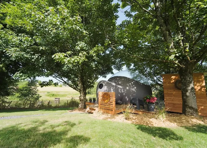 Bulles Odette & Ginette Et Tiny House Suzette 