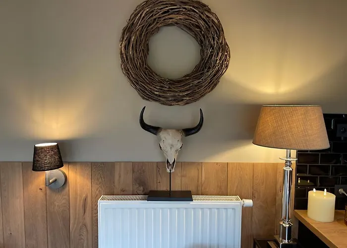 Bulles Odette & Ginette Et Tiny House Suzette 